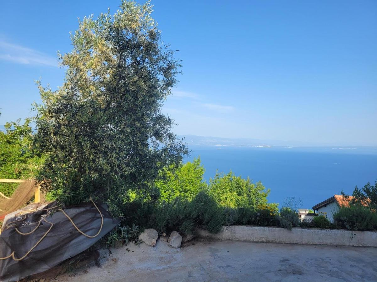 Ferienwohnung Mit Pool Kroatien Mit Meerblick Und Pool ลอฟราน ภายนอก รูปภาพ